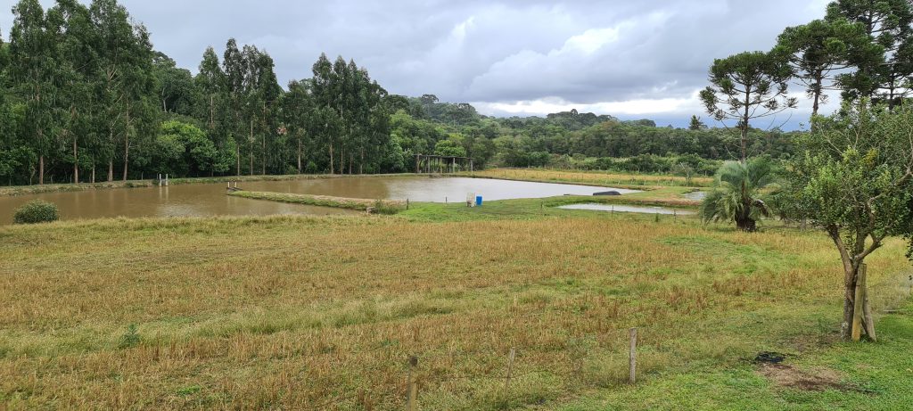 Chácara a venda em São José dos Pinhais, na região da Campina do Taquaral