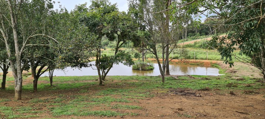 Chácara a venda em São José dos Pinhais, na região da Campina do Taquaral