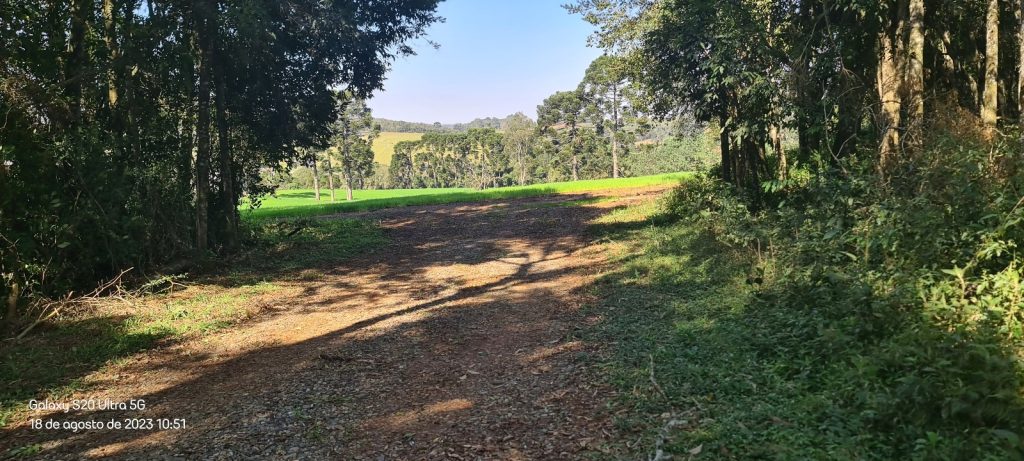 Área a venda em São José dos Pinhais na região do Contorno Leste