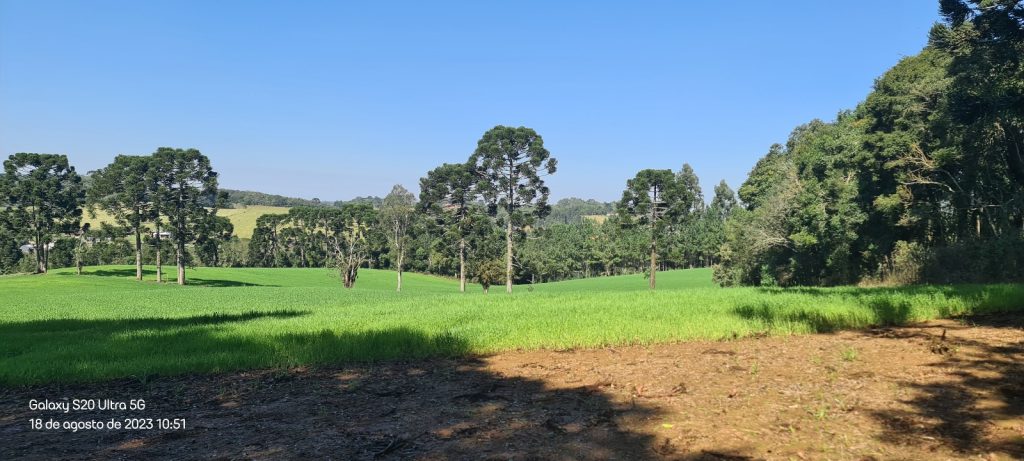 Área a venda em São José dos Pinhais na região do Contorno Leste